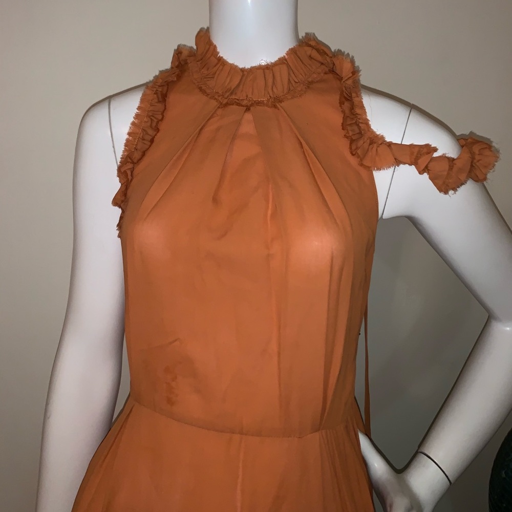 Magda Butrym Assisi Dress - Picture 9 of 11